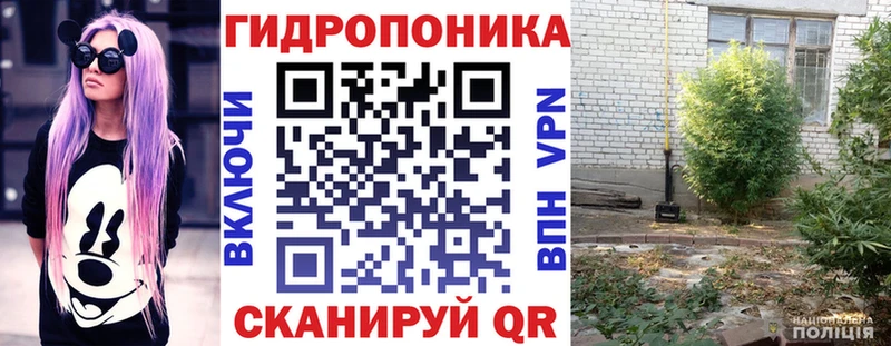 Бошки Шишки Bruce Banner цена наркотик Агрыз
